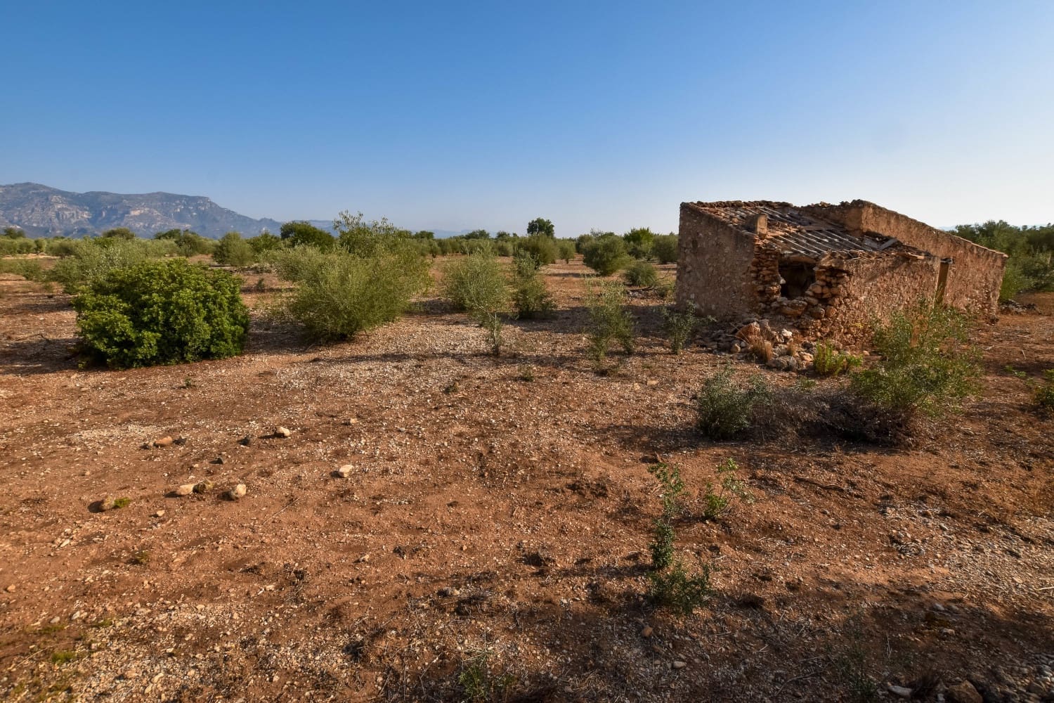 Finca/Landhuis te koop in Santa Barbara - € 15.000 (Ref: 4696979)