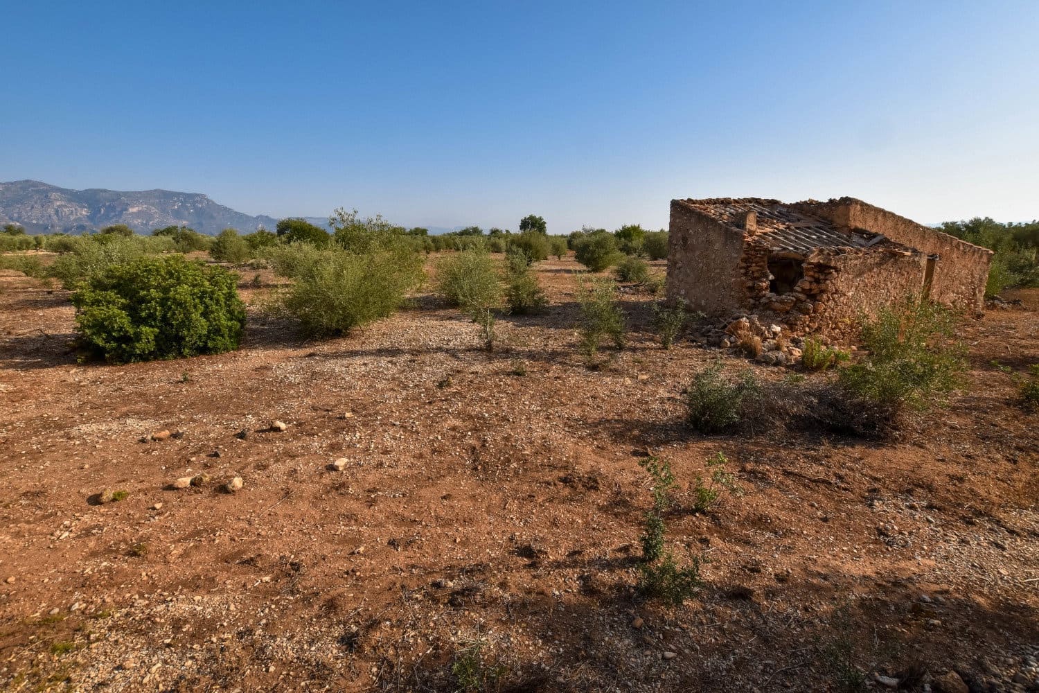 Finca/Country House for sale in Santa Barbara - € 20,000 (Ref: 4696979)