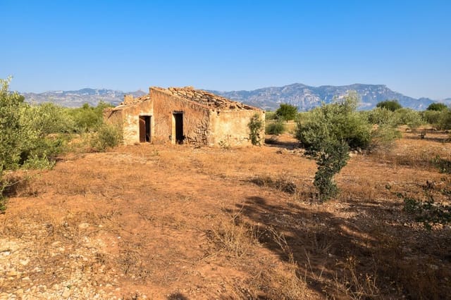 Finca/Maison de Campagne à vendre à Santa Bàrbara - 20 000 € (Ref: 4696979)