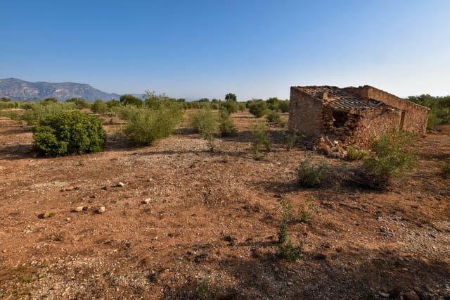 Finca/Maison de Campagne à vendre à Santa Bàrbara - 20 000 € (Ref: 4696979)