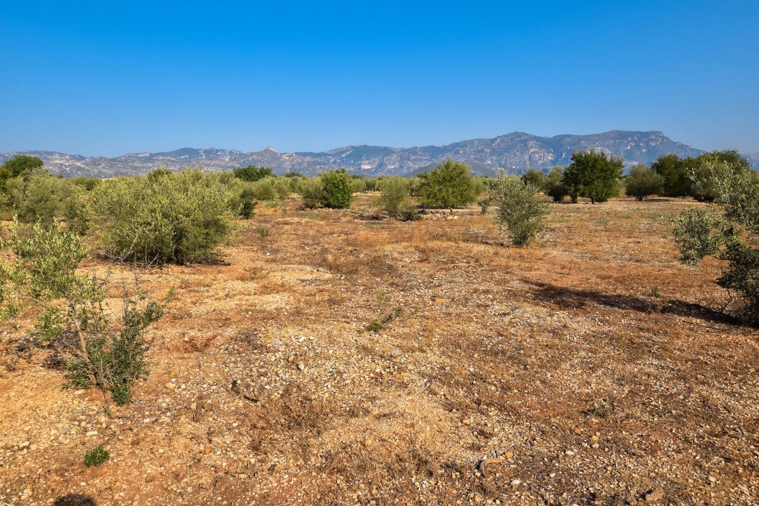 Finca/Country House for sale in Santa Barbara - € 20,000 (Ref: 4696979)