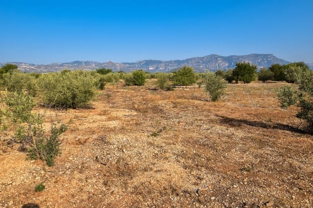 Finca/Maison de Campagne à vendre à Santa Bàrbara - 20 000 € (Ref: 4696979)
