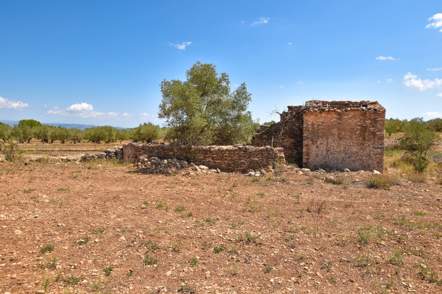 Finca/Herregård til salgs i Mas de Barberans - € 18 000 (Ref: 4728424)