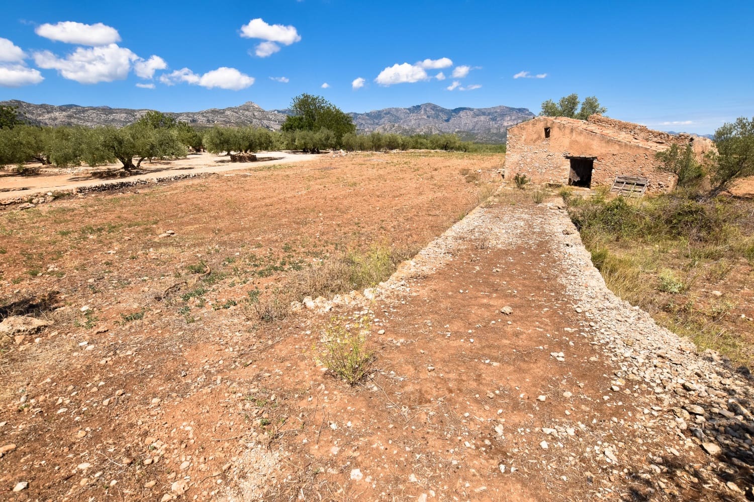 Finca/Herregård til salgs i Mas de Barberans - € 18 000 (Ref: 4728424)