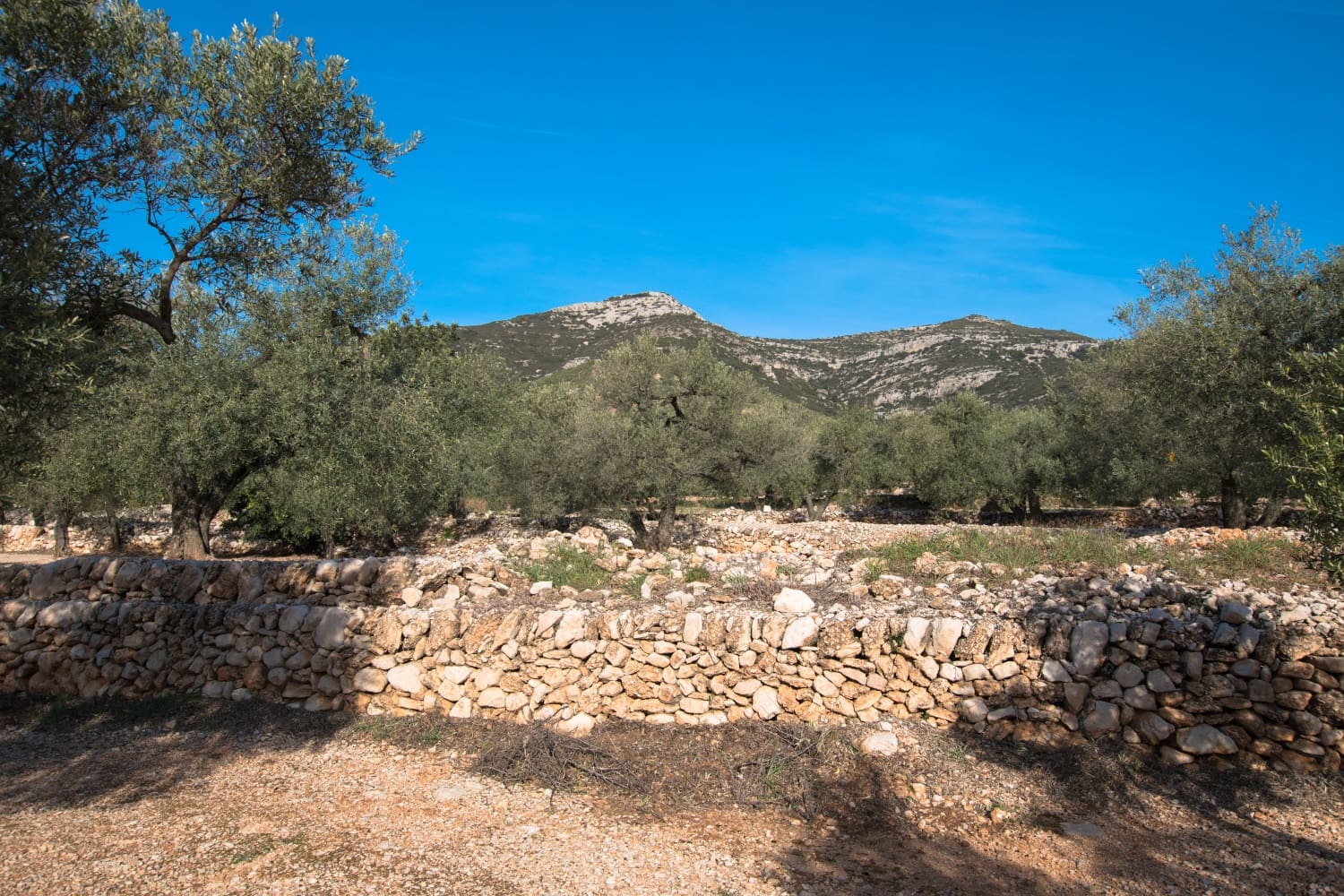 Finca/Herregård til salgs i Mas de Barberans - € 23 000 (Ref: 5165190)