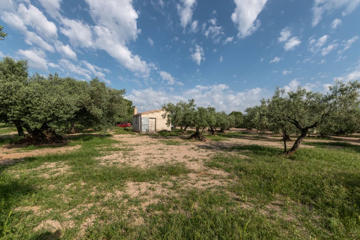 Finca/Herregård til salgs i Ulldecona - € 20 000 (Ref: 5261716)