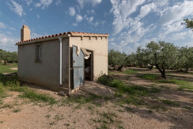 Finca/Country House for sale in Ulldecona - € 20,000 (Ref: 5261716)