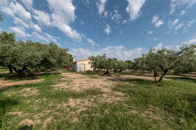 Finca/Country House for sale in Ulldecona - € 20,000 (Ref: 5261716)