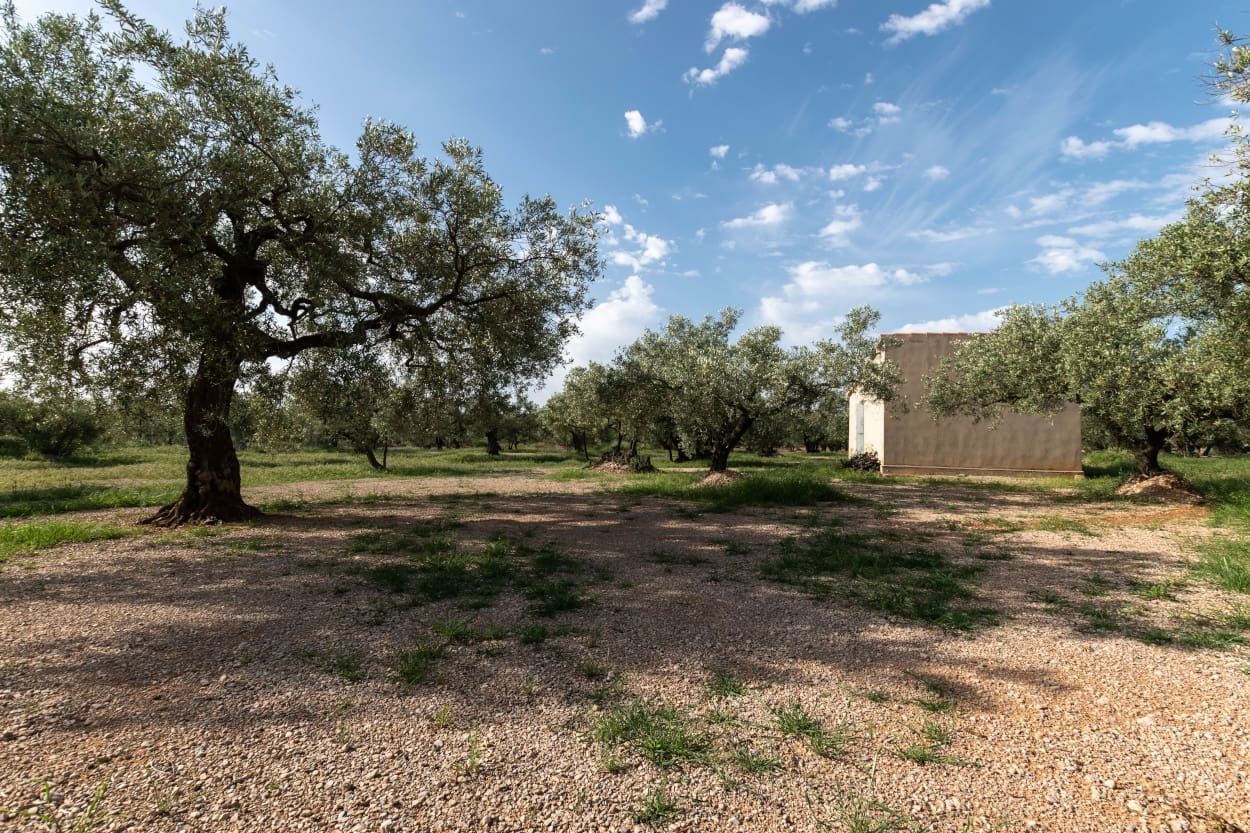 Finca/Herregård til salgs i Ulldecona - € 20 000 (Ref: 5261716)