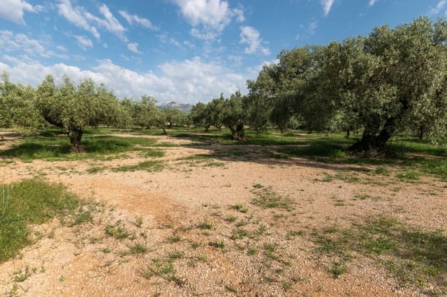 Finca/Country House for sale in Ulldecona - € 20,000 (Ref: 5261716)