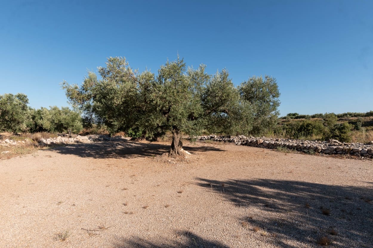Finca/Casa Rural en Mas de Barberans en venta - 9.500 € (Ref: 5477831)