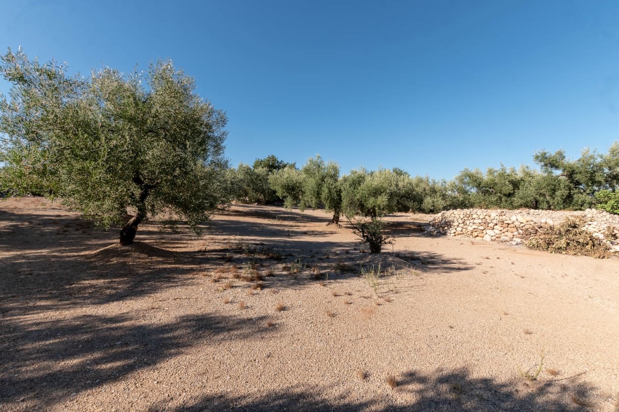 Finca/Casa Rural en Mas de Barberans en venta - 9.500 € (Ref: 5477831)