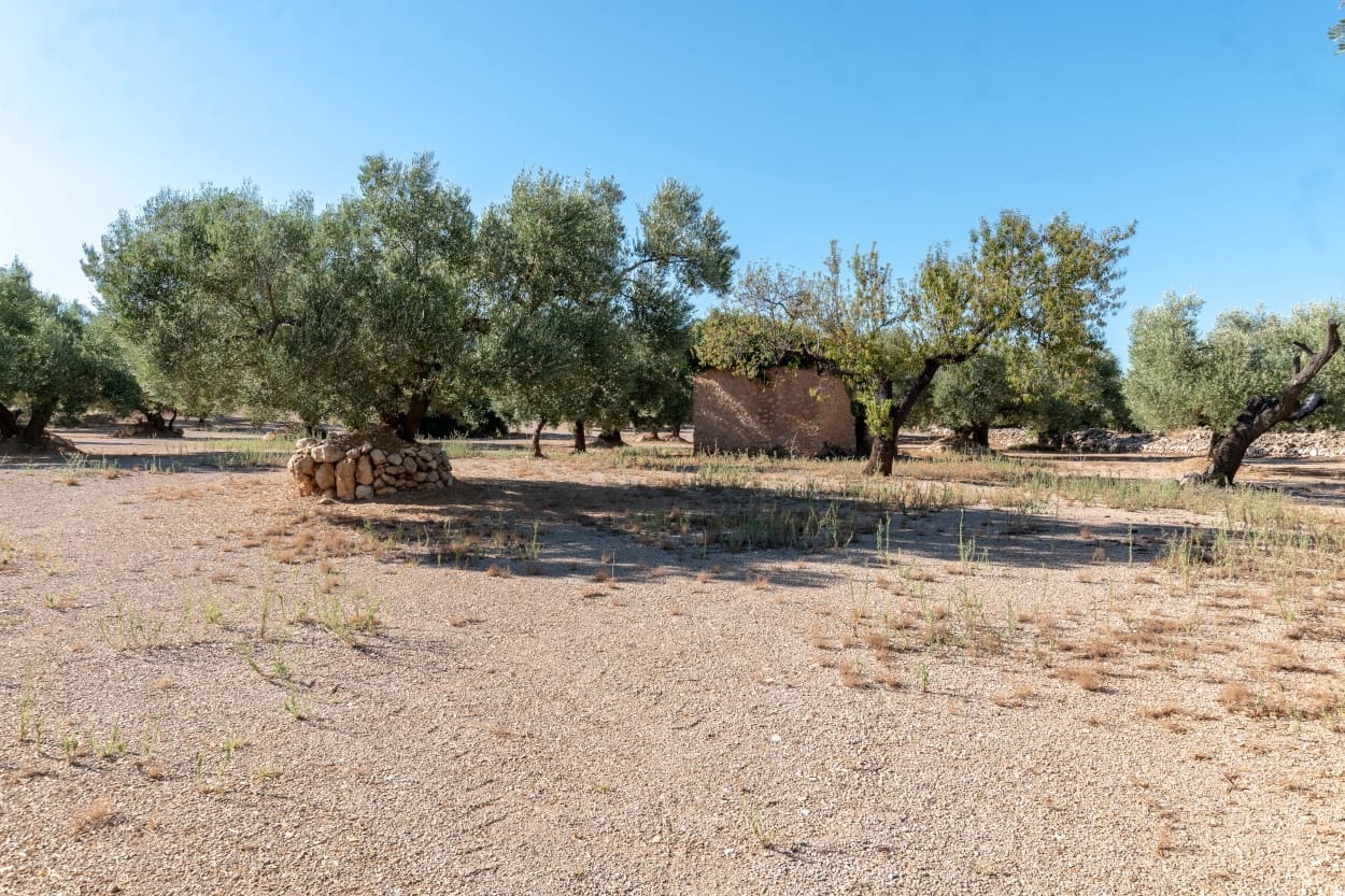 Finca/Casa Rural en Mas de Barberans en venta - 9.500 € (Ref: 5477831)