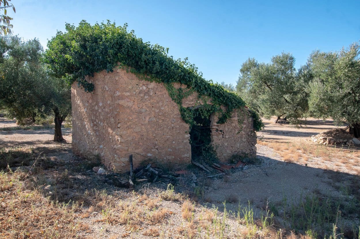 Finca/Landehus til salg i Mas de Barberans - € 9.500 (Ref: 5477831)