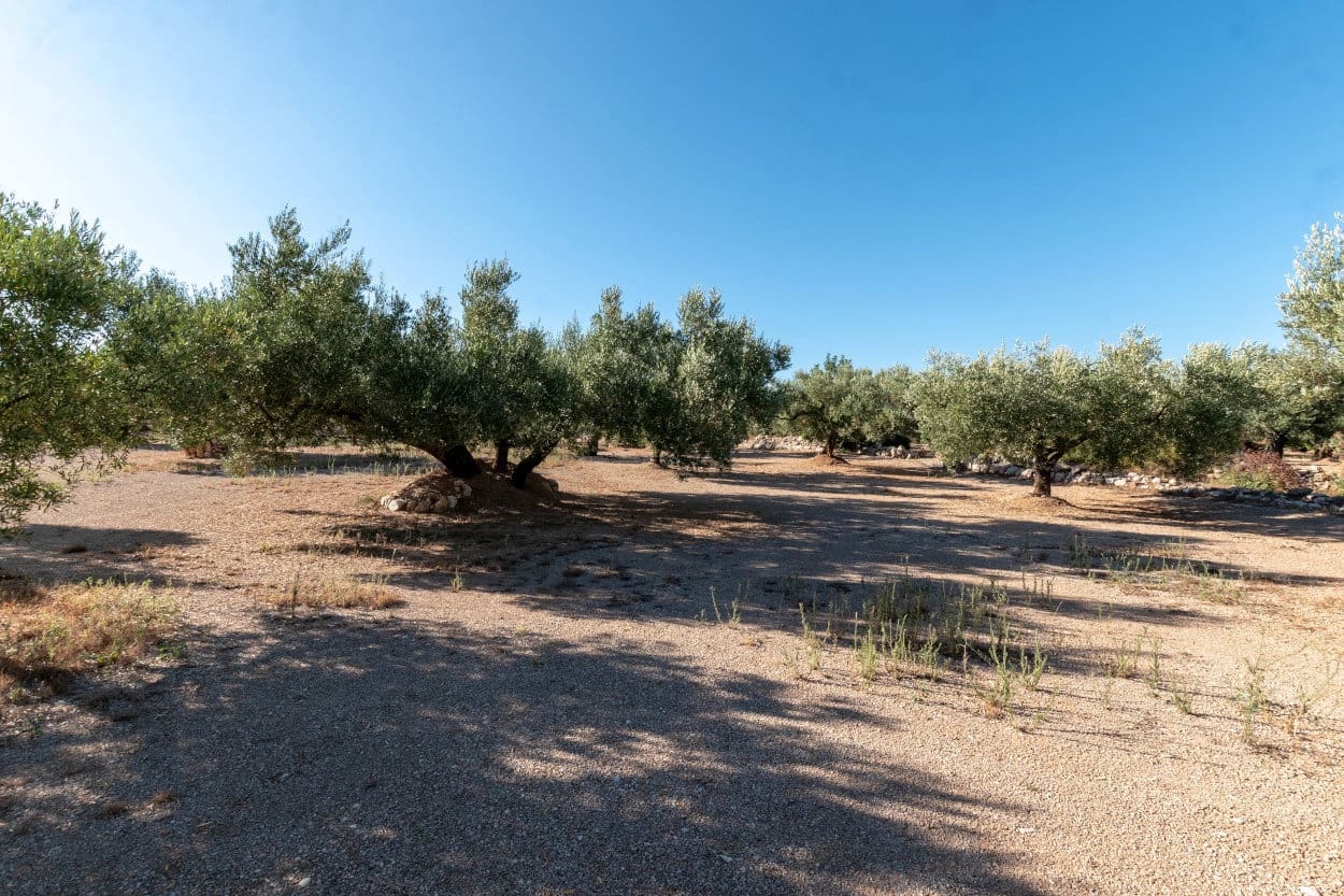 Finca/Landehus til salg i Mas de Barberans - € 9.500 (Ref: 5477831)