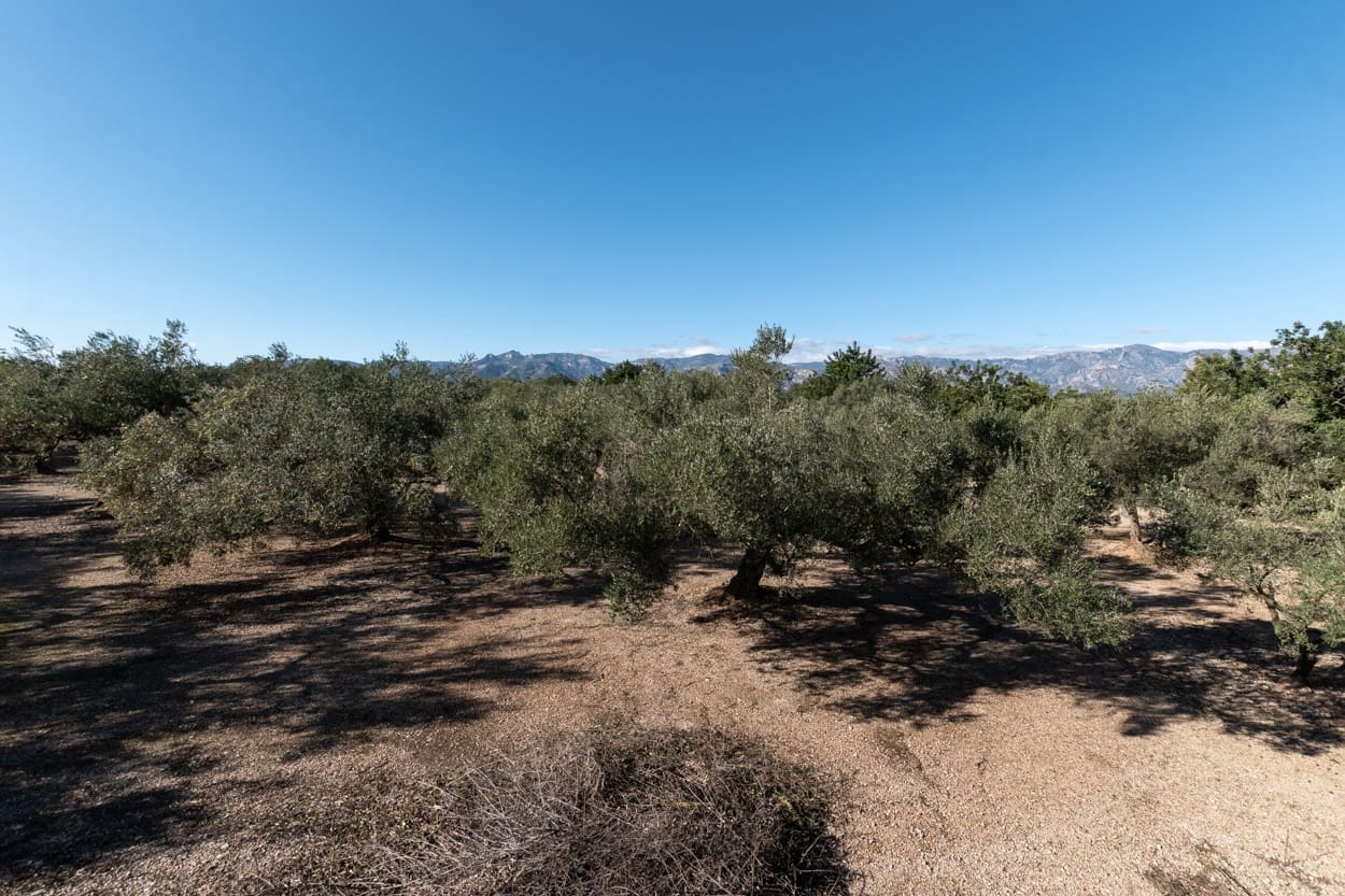 2 bedroom Finca/Country House for sale in La Galera with pool - € 55,000 (Ref: 5755897)
