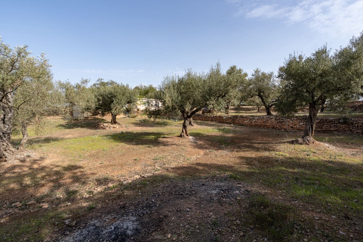 3 soveværelse Finca/Landehus til salg i Masdenverge - € 90.000 (Ref: 5999083)