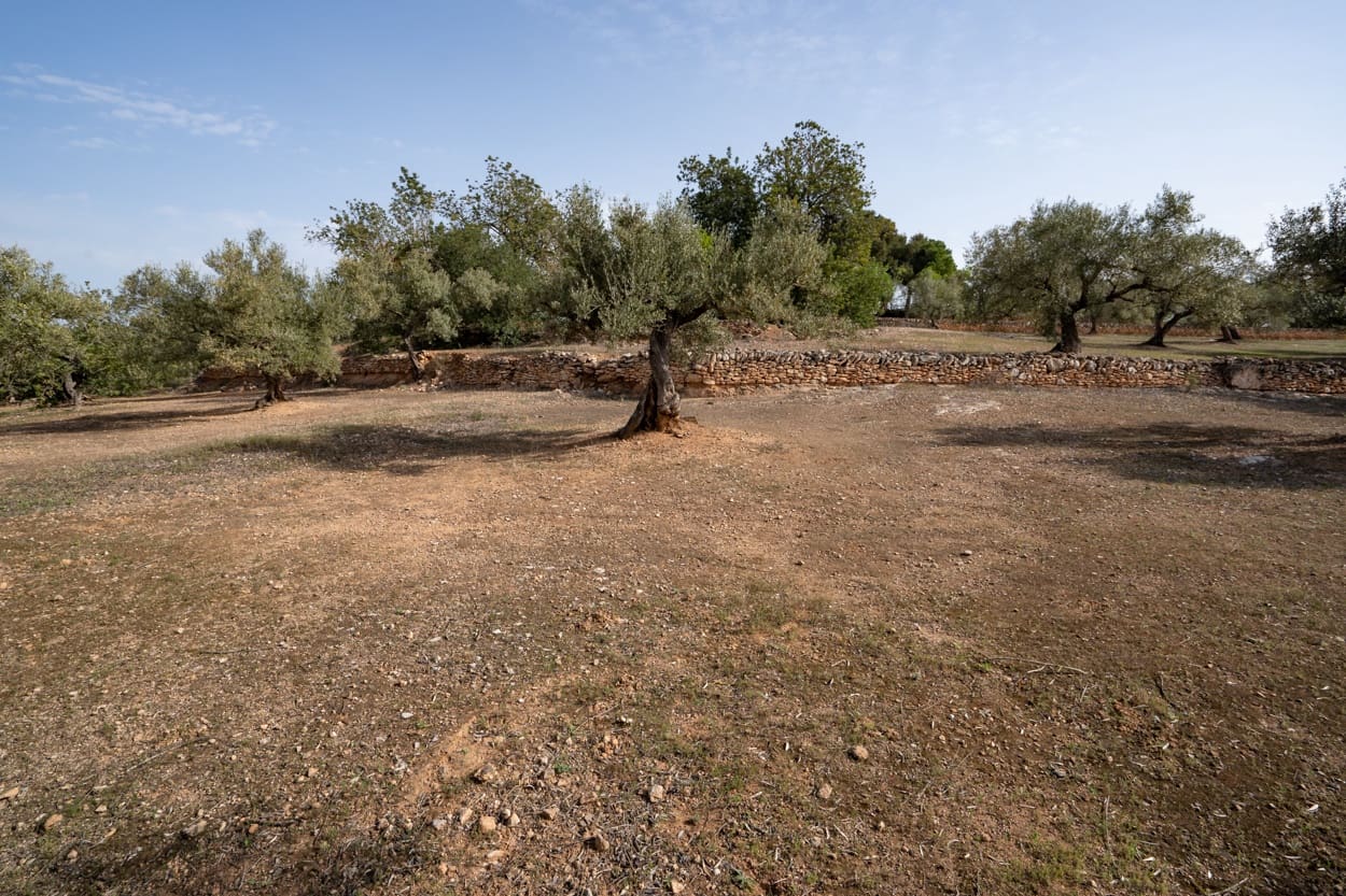 3 soveværelse Finca/Landehus til salg i Masdenverge - € 90.000 (Ref: 5999083)