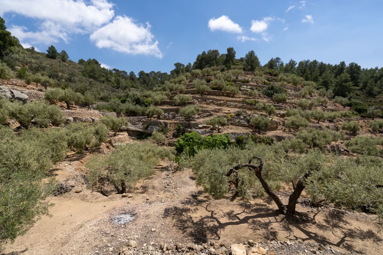 4 soveværelse Finca/Landehus til salg i Tortosa - € 65.000 (Ref: 6085202)