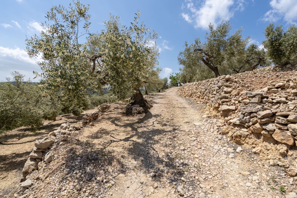 4 soveværelse Finca/Landehus til salg i Tortosa - € 65.000 (Ref: 6085202)