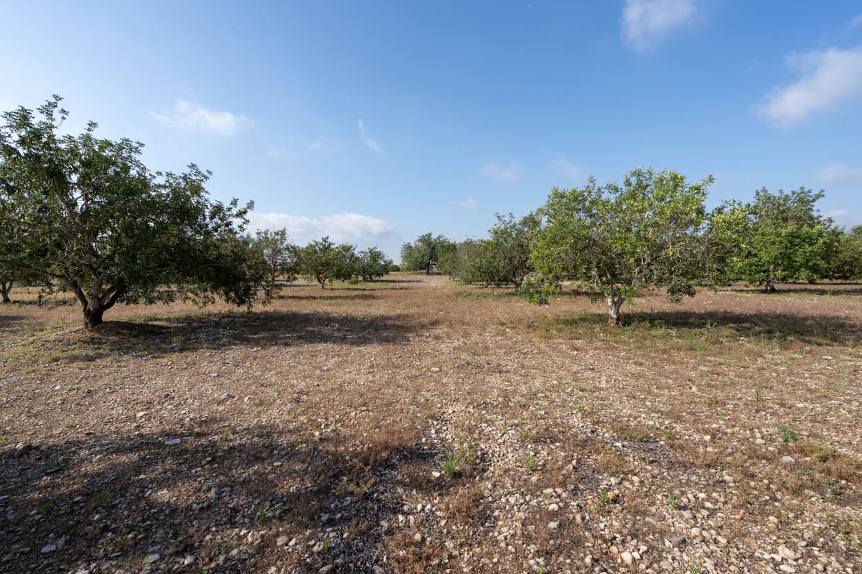 Finca/Landhuis te koop in Santa Barbara - € 32.000 (Ref: 6115858)