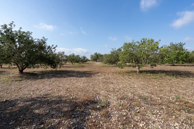 Finca/Country House for sale in Santa Bàrbara - € 32,000 (Ref: 6115858)