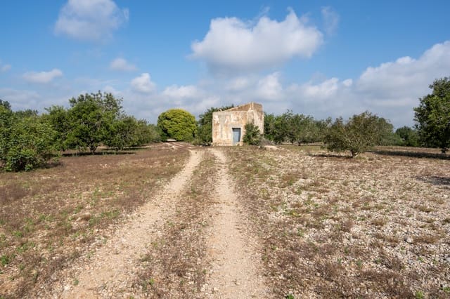 Finca/Country House for sale in Santa Bàrbara - € 32,000 (Ref: 6115858)
