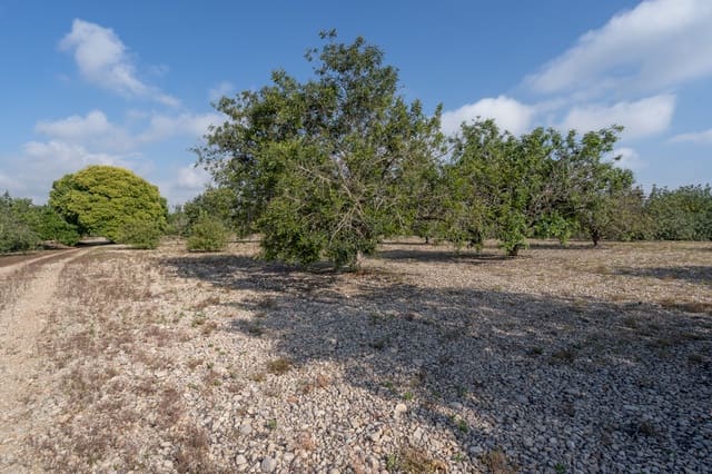 Finca/Country House for sale in Santa Bàrbara - € 32,000 (Ref: 6115858)