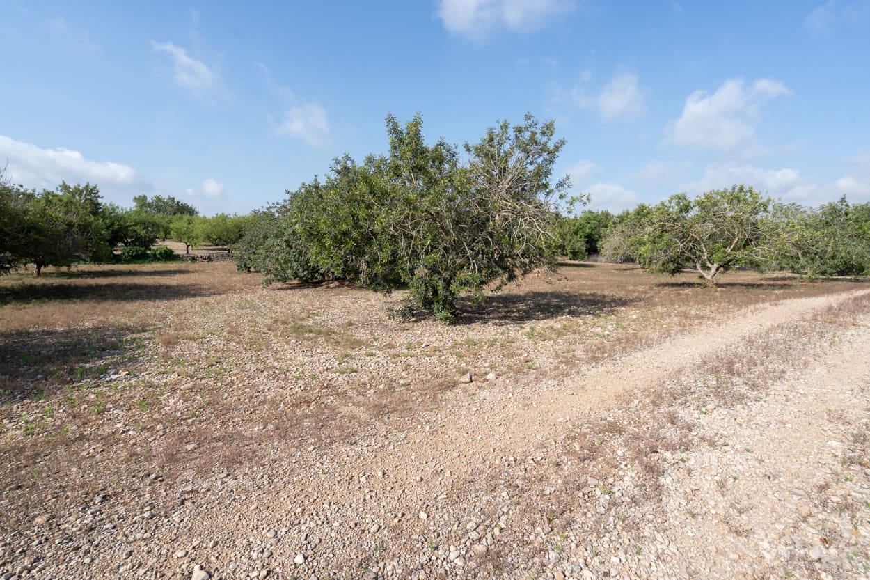 Finca/Landhuis te koop in Santa Barbara - € 32.000 (Ref: 6115858)