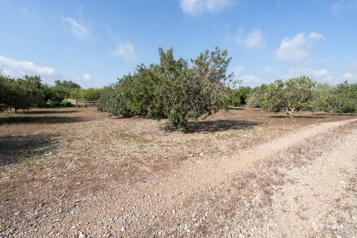 Quinta/Casa Rural para venda em Santa Barbara - 32 000 € (Ref: 6115858)