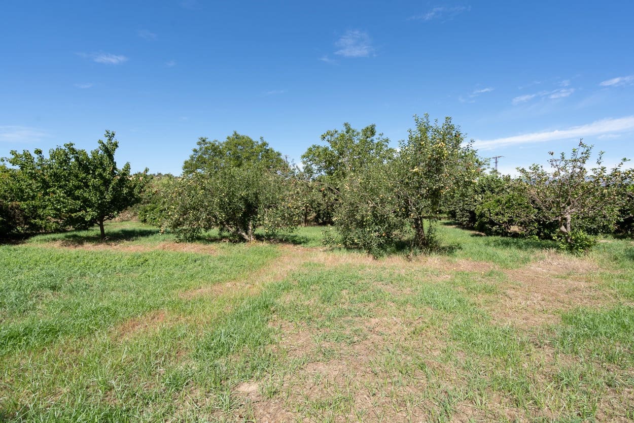 Finca/Landhuis te koop in Tortosa - € 61.000 (Ref: 6170307)
