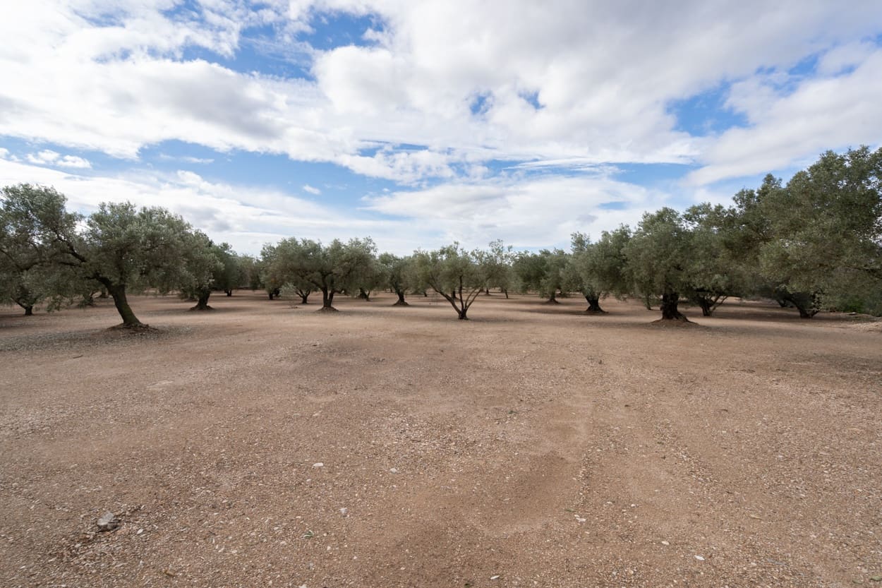 1 chambre Finca/Maison de Campagne à vendre à Vinallop - 45 000 € (Ref: 6467216)