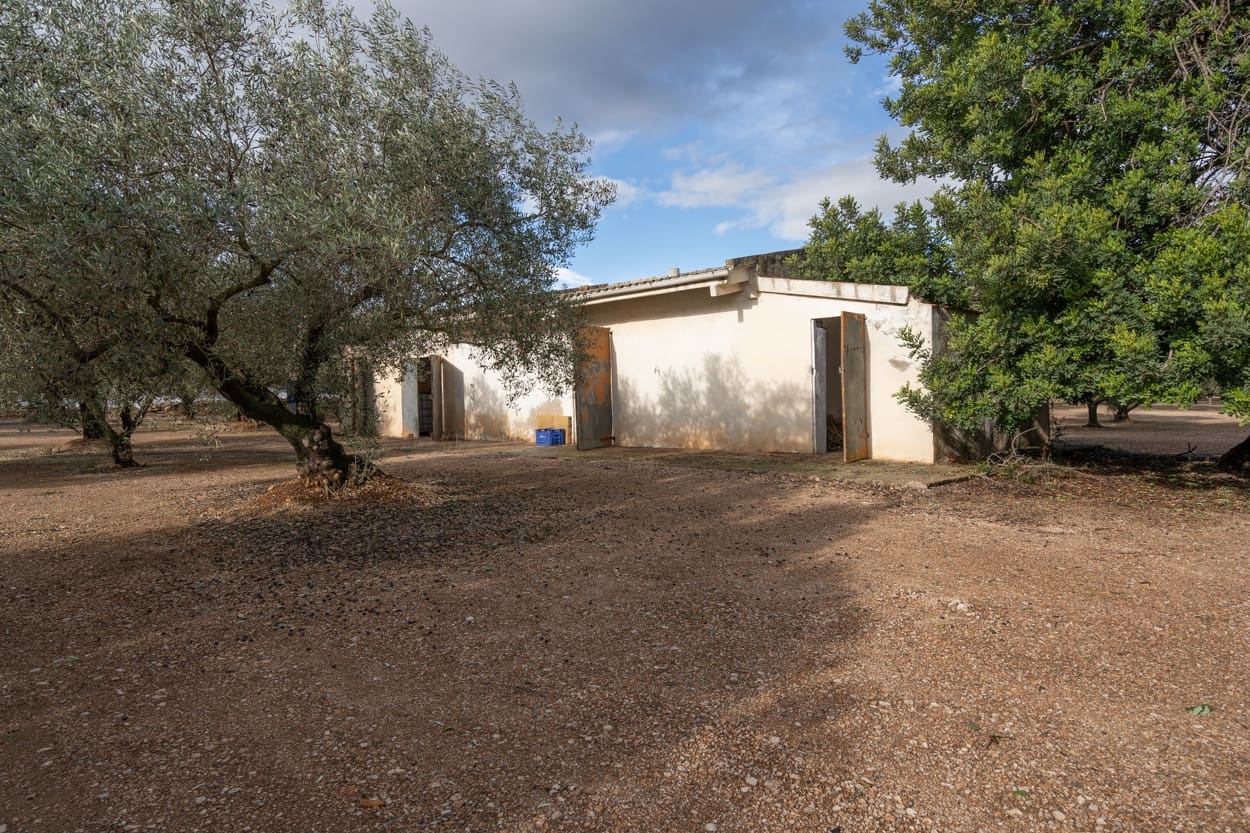 1 chambre Finca/Maison de Campagne à vendre à Vinallop - 45 000 € (Ref: 6467216)