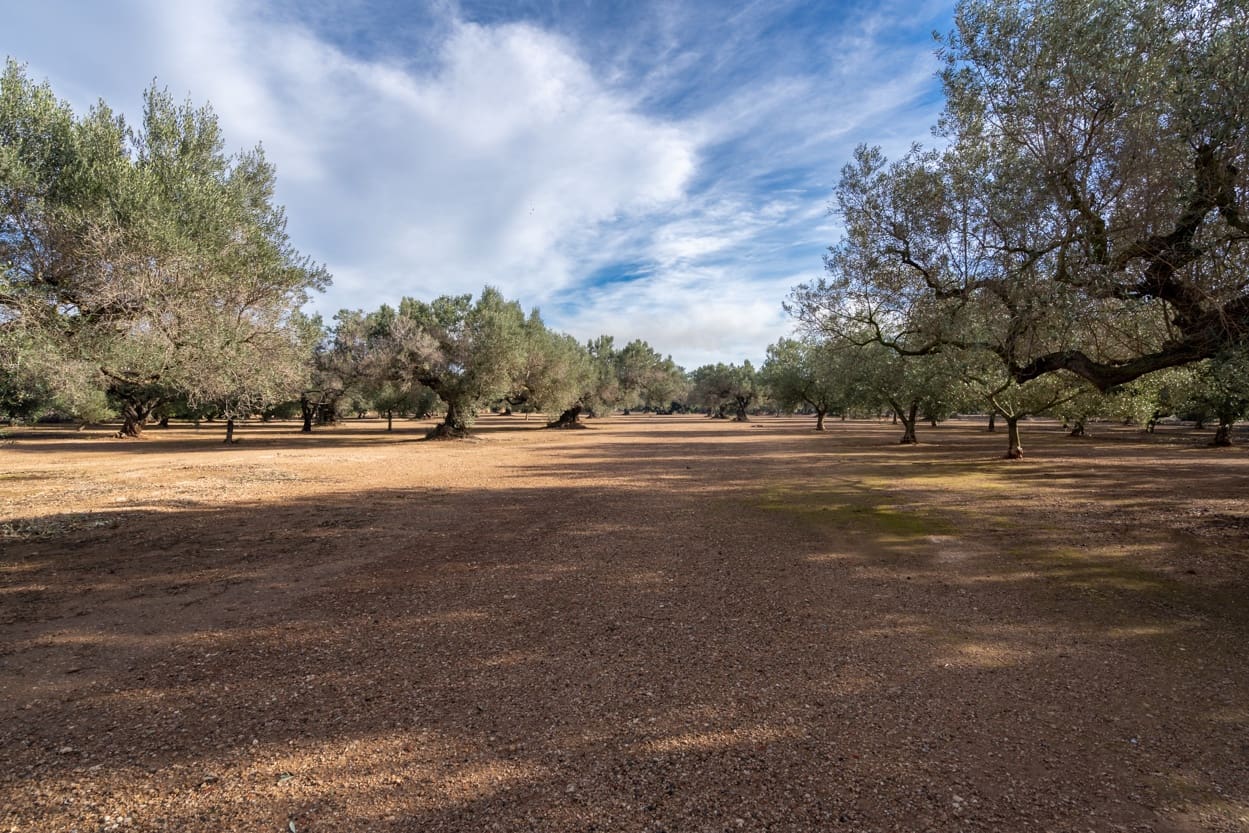 4 soveværelse Finca/Landehus til salg i Vinallop med swimmingpool - € 169.000 (Ref: 6488038)