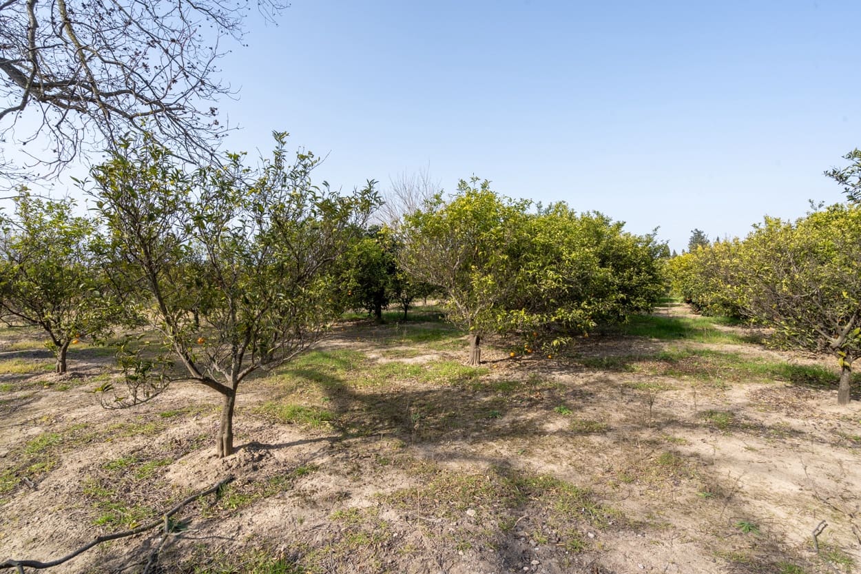 Finca/Country House for sale in Tortosa - € 89,000 (Ref: 6645508)