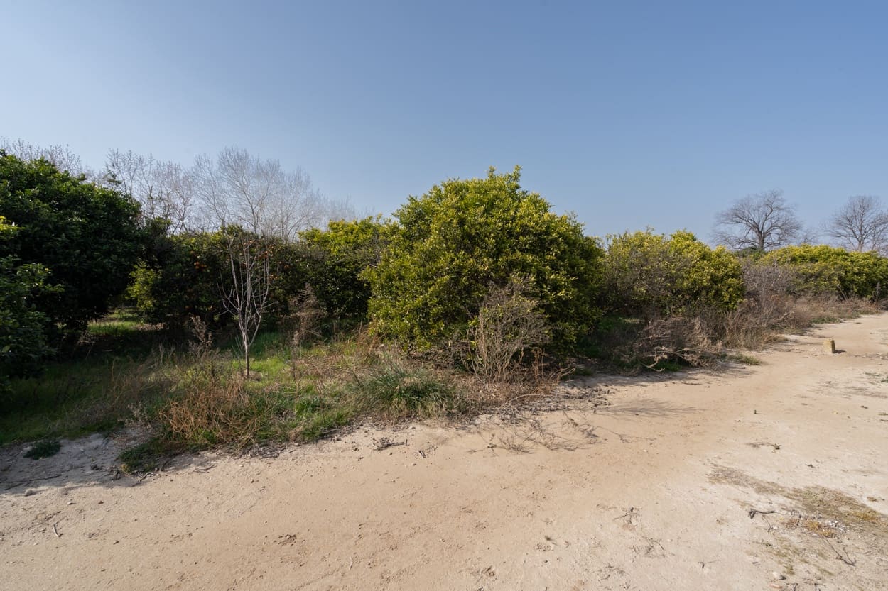 Finca/Country House for sale in Tortosa - € 89,000 (Ref: 6645508)