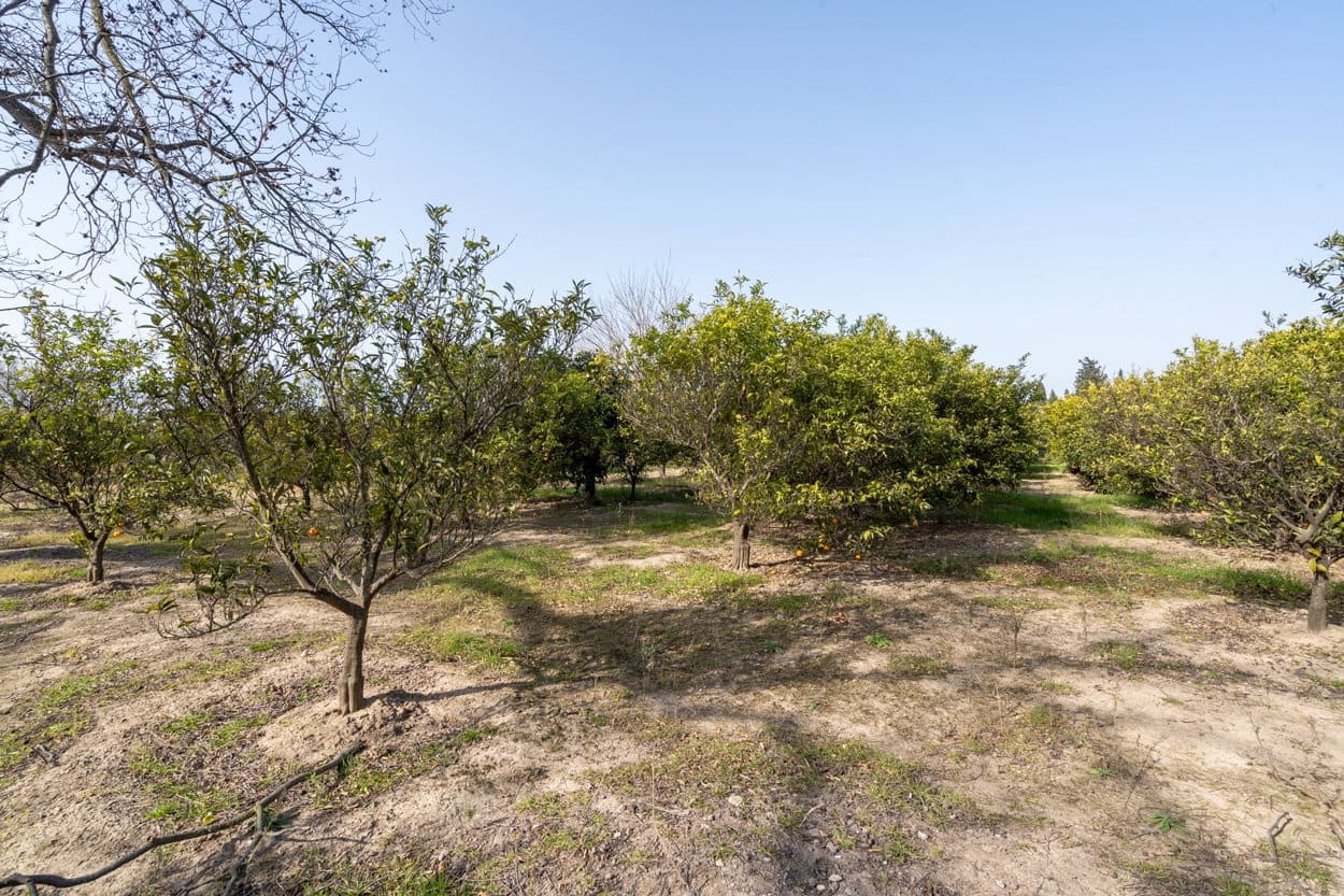 Finca/Landhuis te koop in Tortosa - € 89.000 (Ref: 6645508)