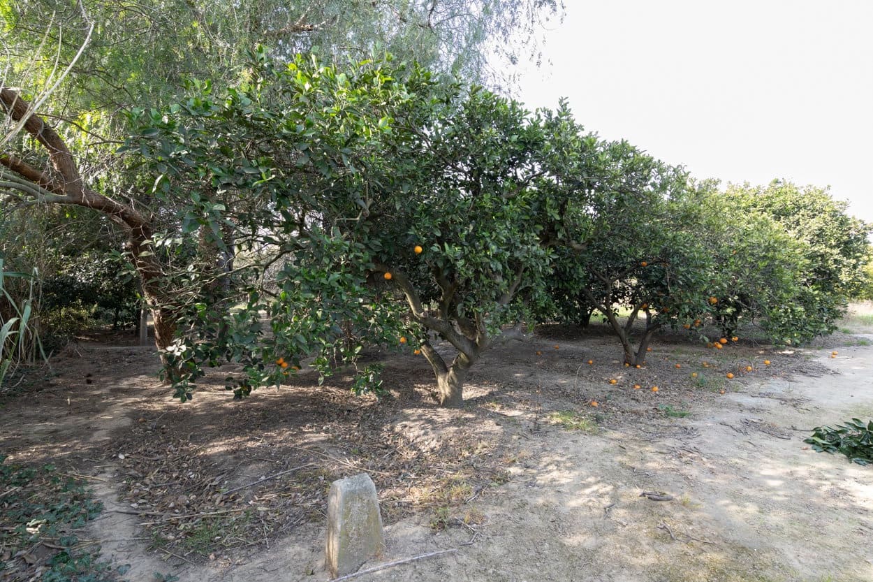 Finca/Landhuis te koop in Tortosa - € 89.000 (Ref: 6645508)