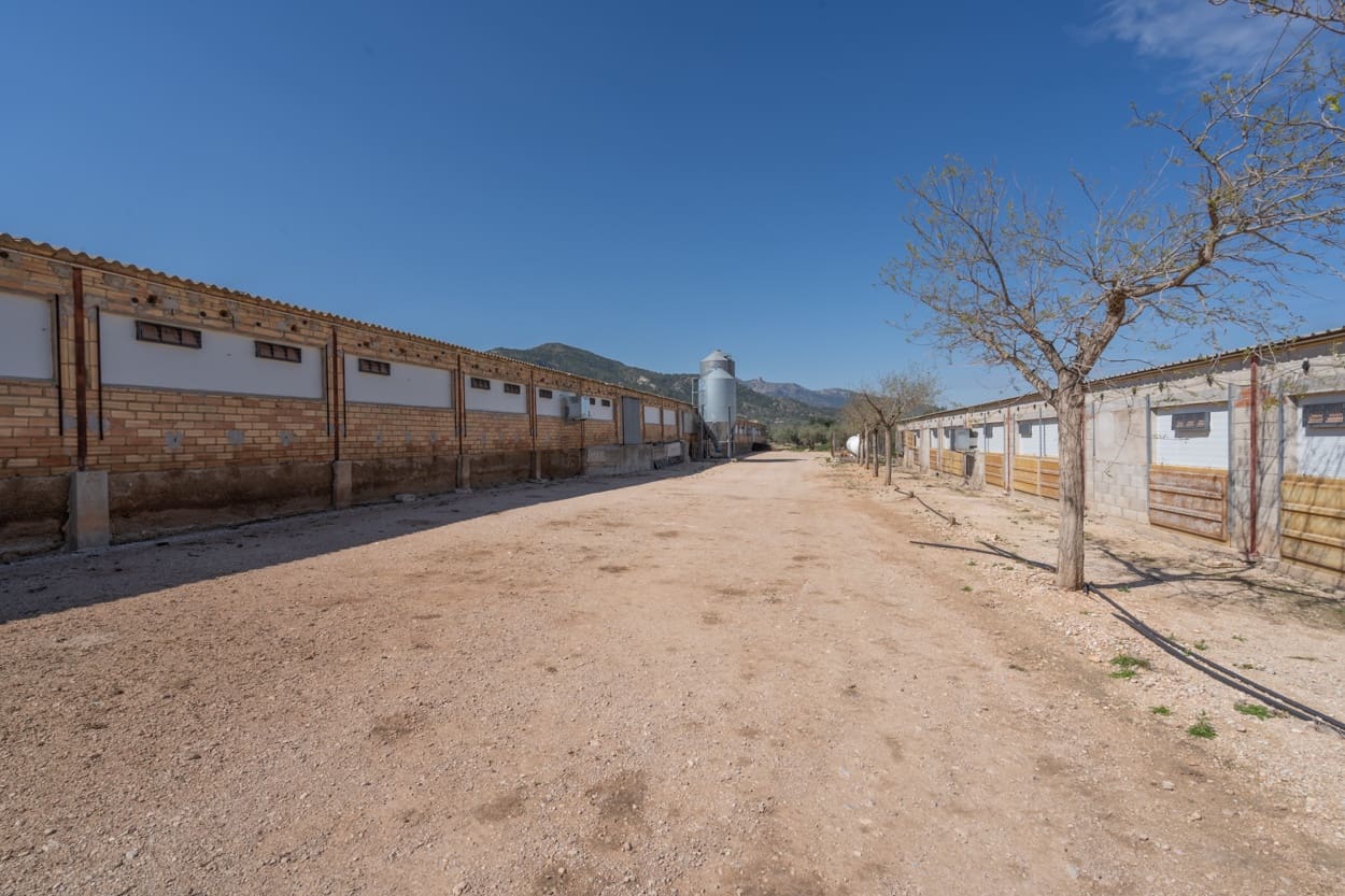 Finka/Dom wiejski na sprzedaż w Roquetes - 600 000 € (Ref: 6773355)