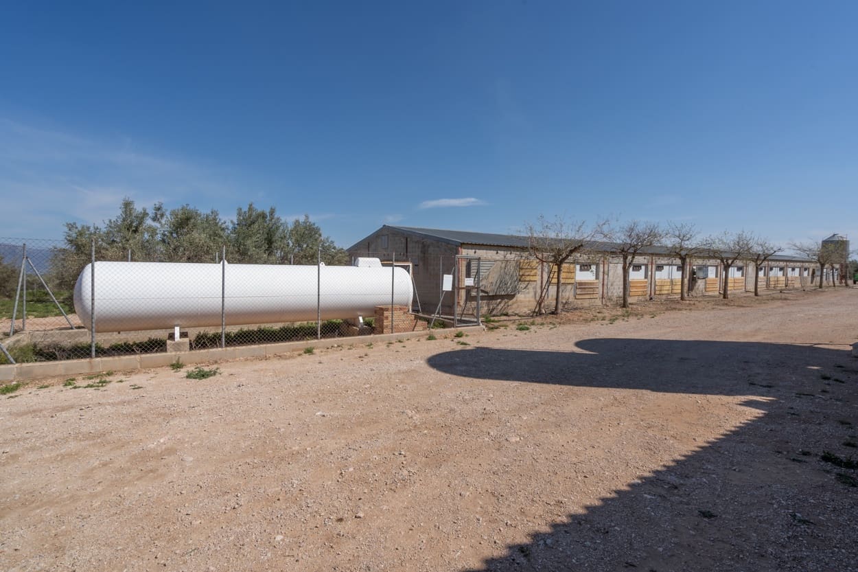 Finka/Dom wiejski na sprzedaż w Roquetes - 600 000 € (Ref: 6773355)