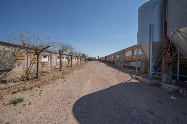 Quinta/Casa Rural para venda em Roquetes - 600 000 € (Ref: 6773355)