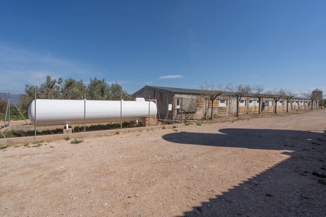 Quinta/Casa Rural para venda em Roquetes - 600 000 € (Ref: 6773355)