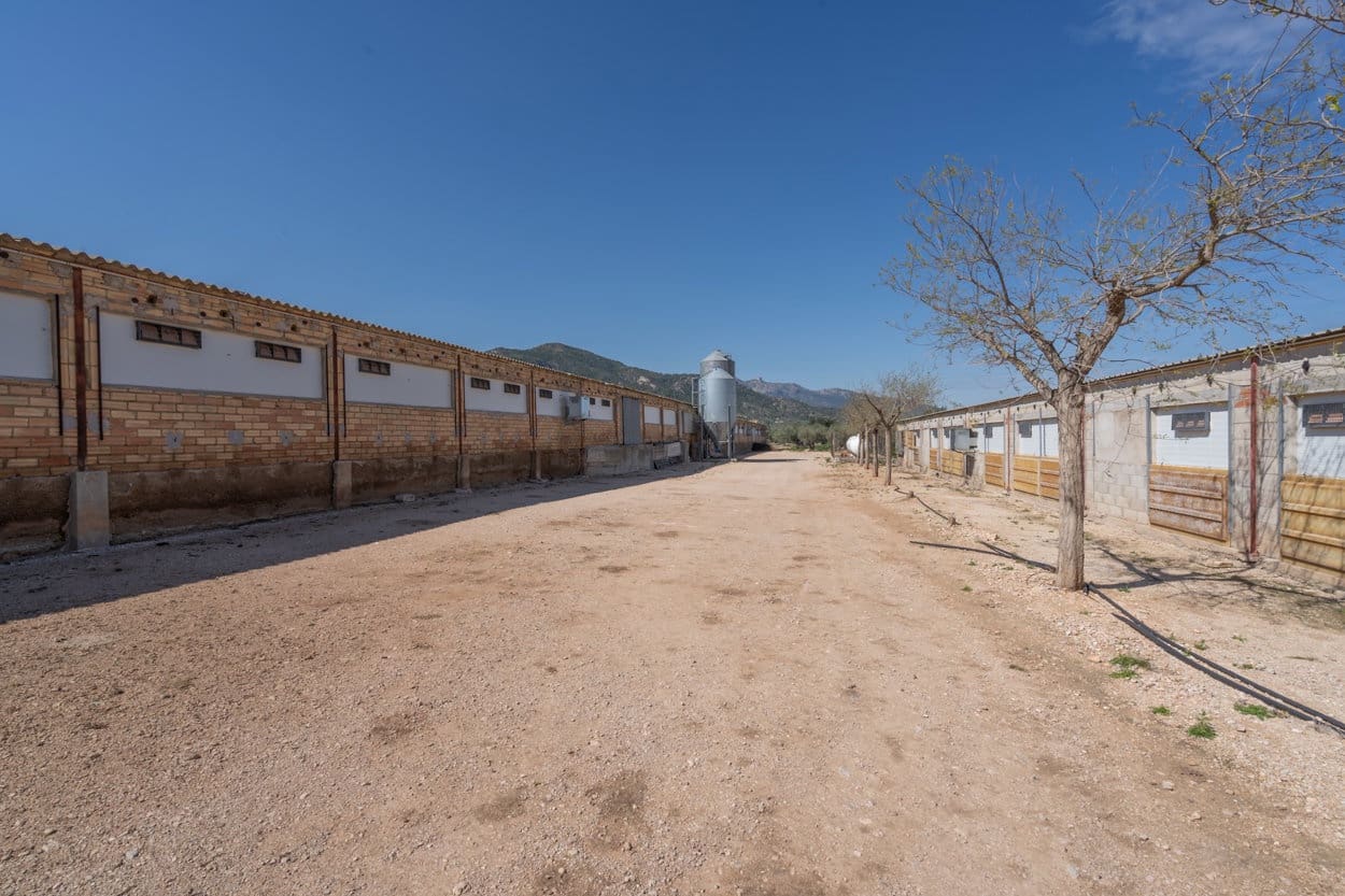Finca/Country House for sale in Roquetes - € 600,000 (Ref: 6773355)
