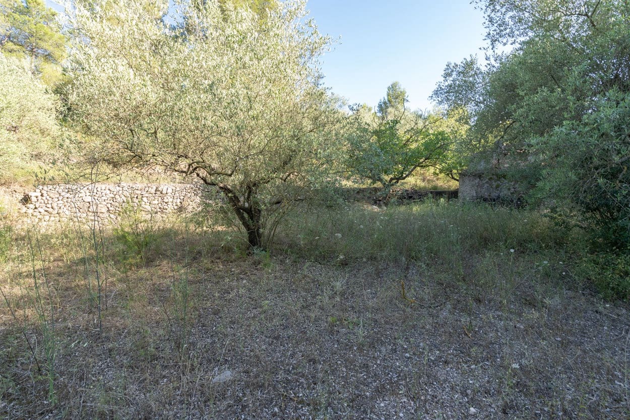 Quinta/Casa Rural para venda em Mas de Barberans - 8 500 € (Ref: 6965862)