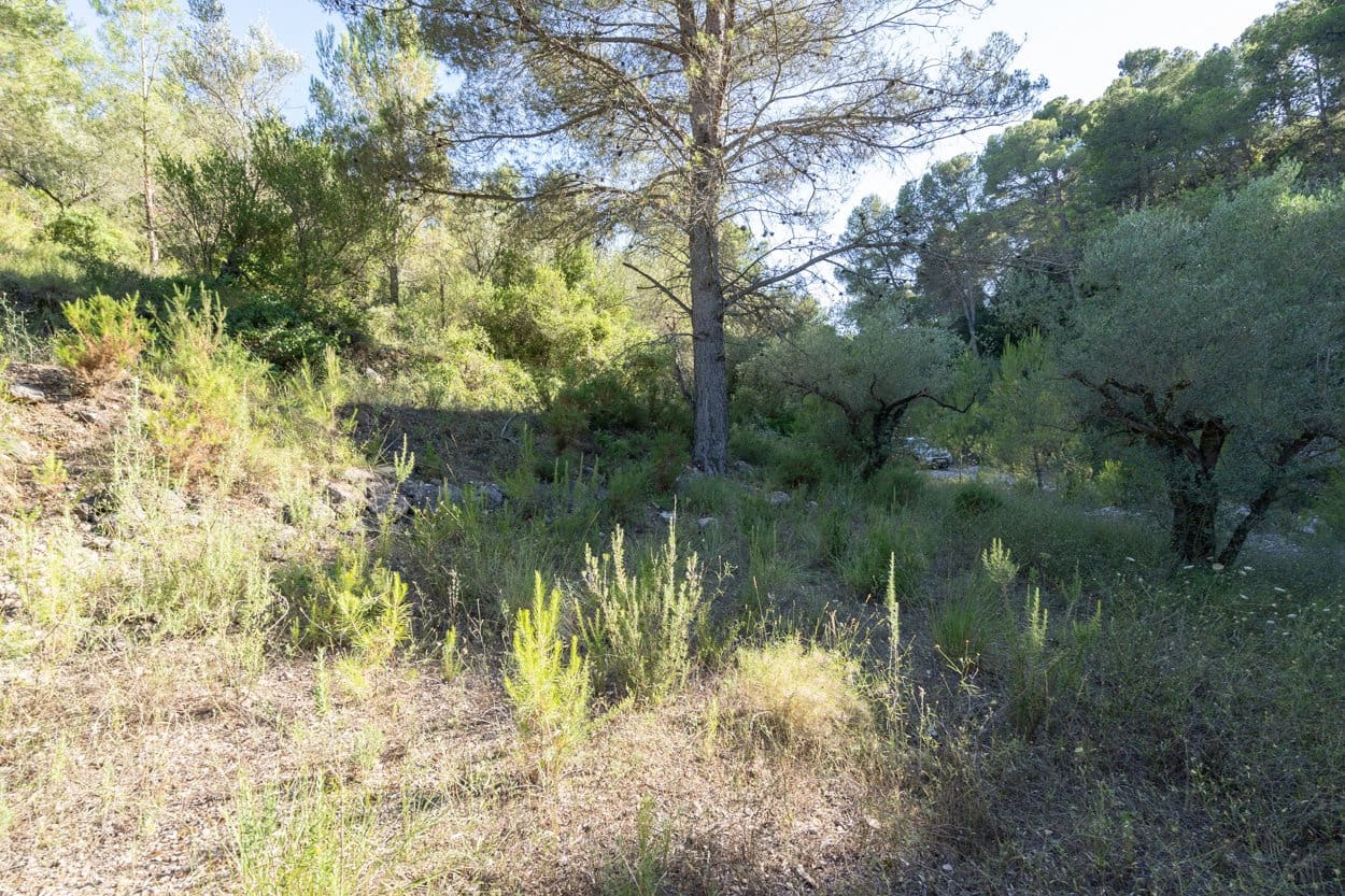 Quinta/Casa Rural para venda em Mas de Barberans - 8 500 € (Ref: 6965862)