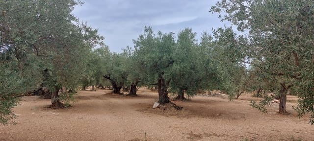 Finca/Landehus til salg i Xerta - € 16.000 (Ref: 7050370)