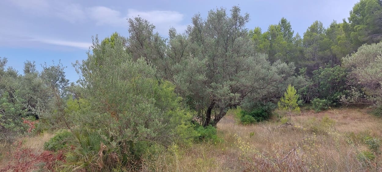 Finca/Landehus til salg i Aldover - € 11.000 (Ref: 7050371)