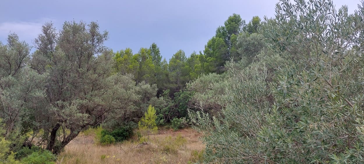 Finca/Landehus til salg i Aldover - € 11.000 (Ref: 7050371)