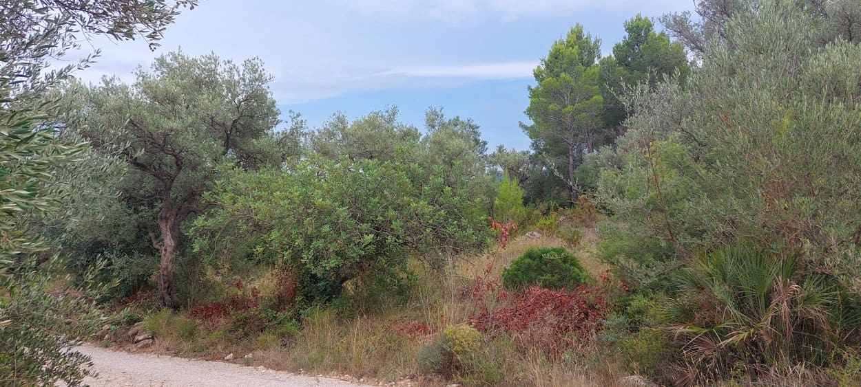 Finca/Hus på landet till salu i Aldover - 11 000 € (Ref: 7050371)