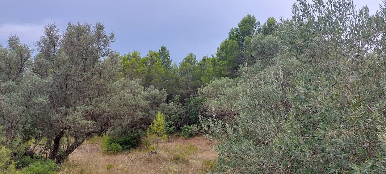 Finca/Hus på landet till salu i Aldover - 11 000 € (Ref: 7050371)